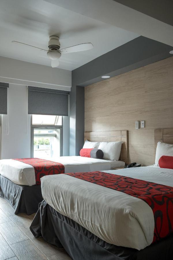 Double Room with Two Double Beds,970945060:JPEG